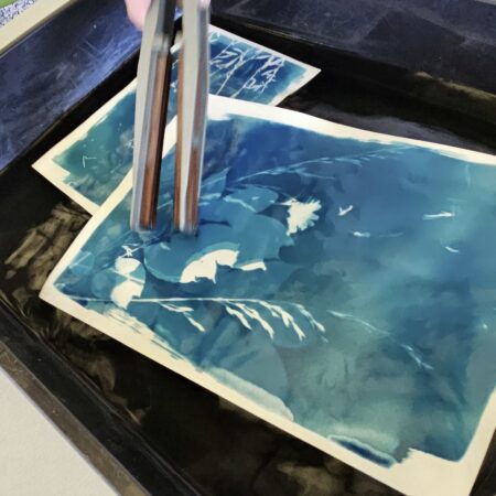 cianothype - ardeche - village nature zen