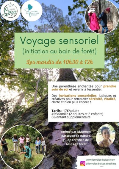 voyage sensoriel - bain de forêt