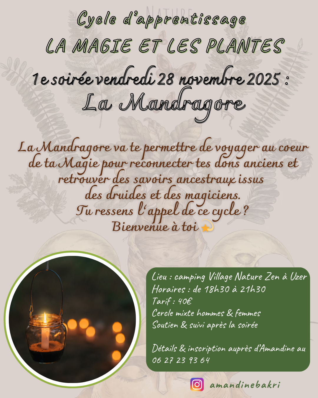 magie des plantes - village nature zen - ardèche