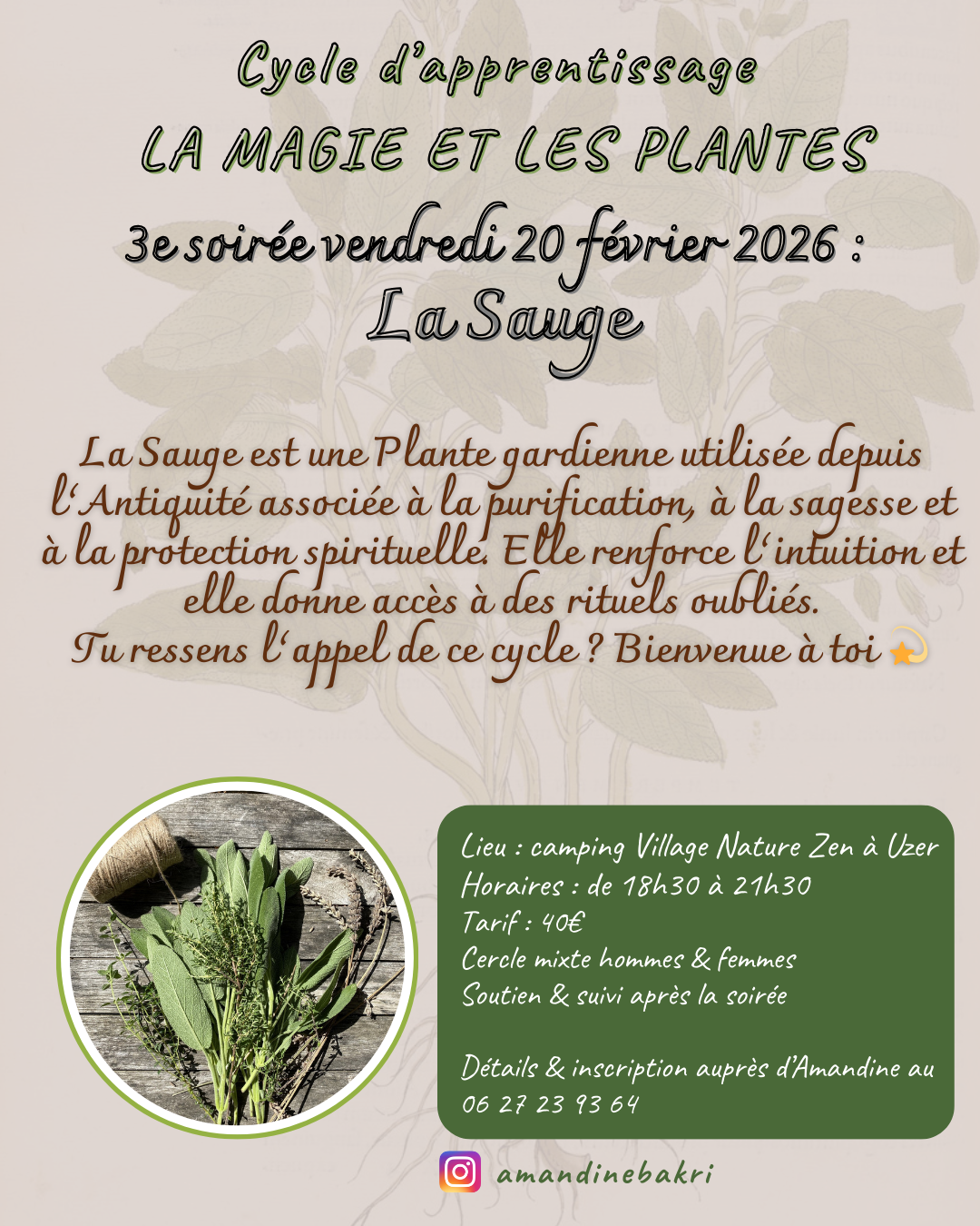 magie des plantes - sauge - village nature zen - ardeche